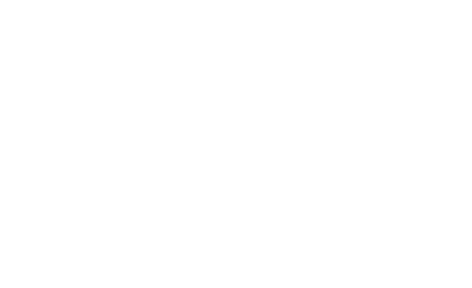 Birdi